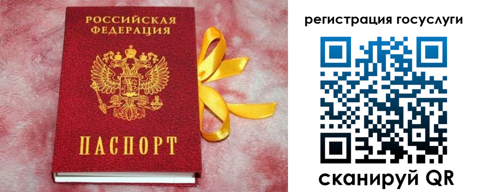 временная регистрация госуслуги в Благовещенске